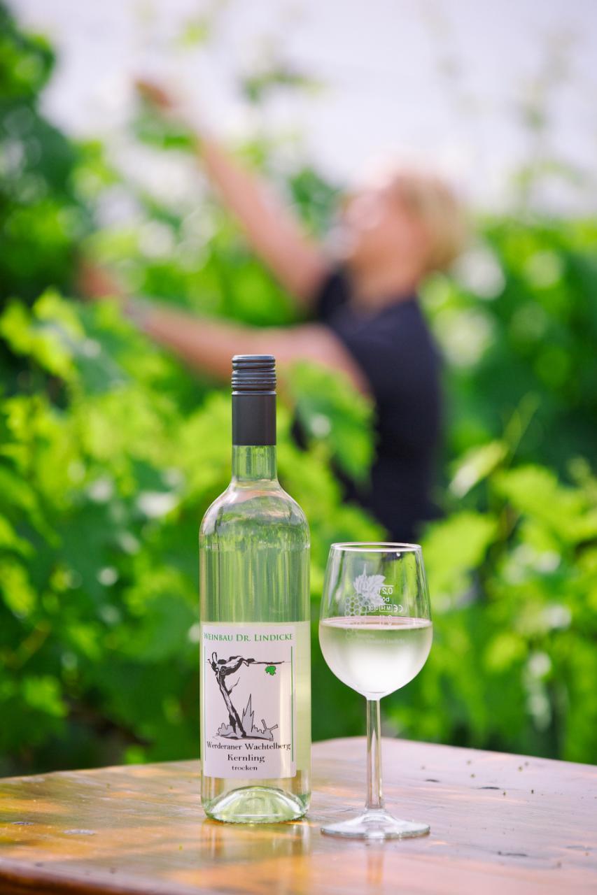 Regionale Lieferanten | REWE Markt GmbH | Deutschland