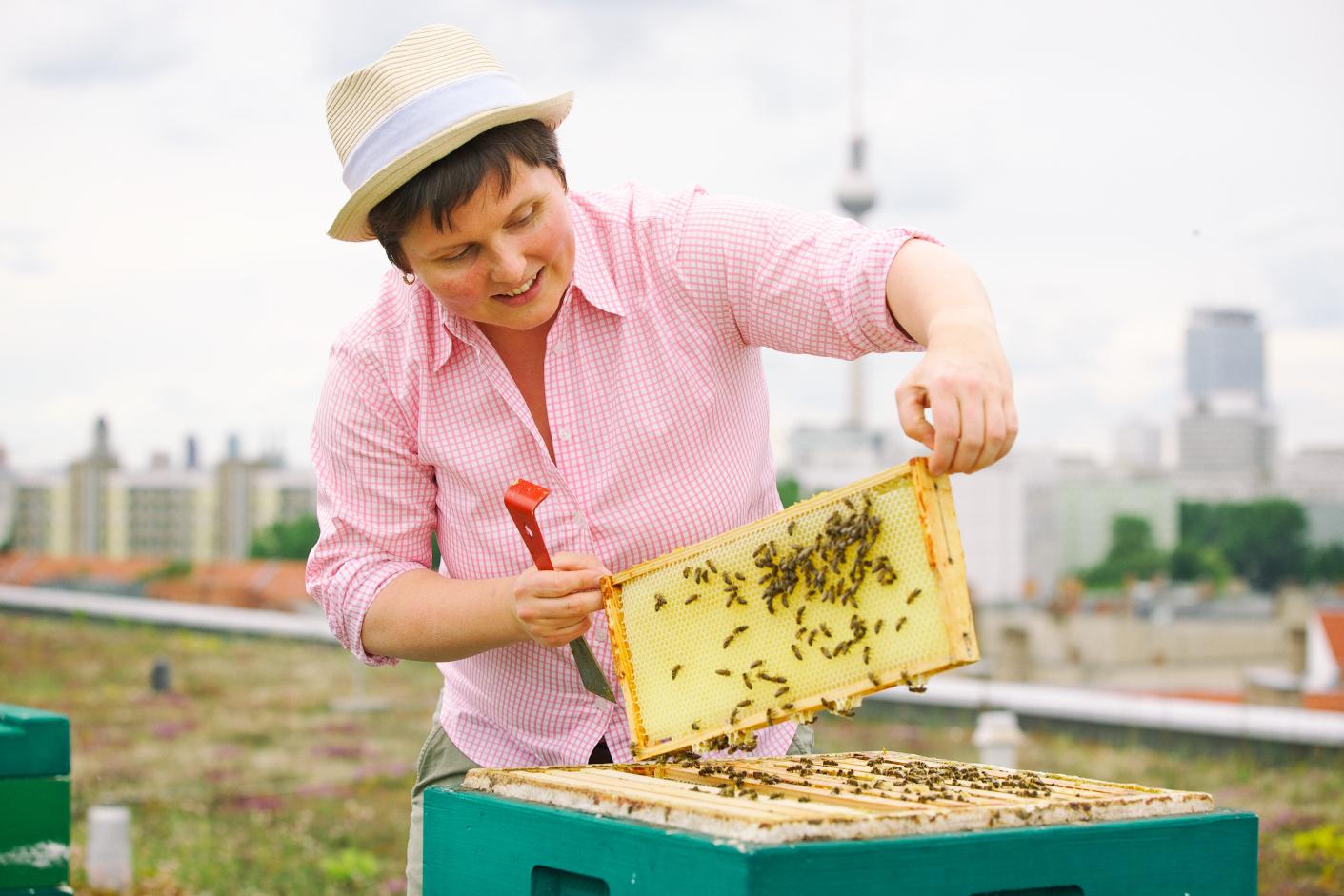Regionale Lieferanten | REWE Markt GmbH | Deutschland